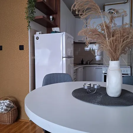 Ina Stan Na Dan Apartment